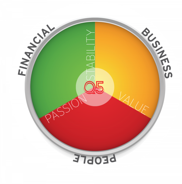 About Q5 – The Q5 Experience®